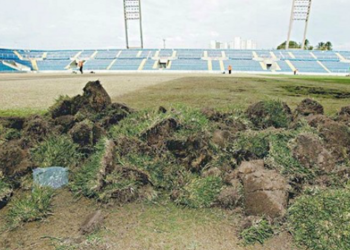 PV com grama sintética? Assunto está sendo debatido