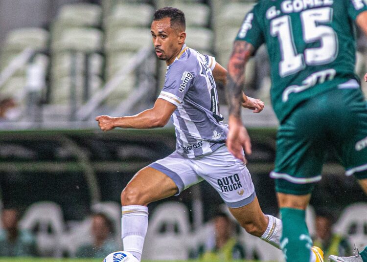 Palmeiras x Goiás: onde assistir, horário e escalação das equipes